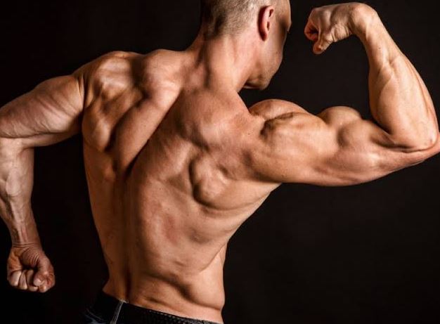 Identifying the Right Supplements for Your Bodybuilding Program